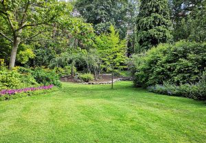 Optimiser l'expérience du jardin à Pullay