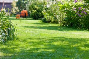 travaux jardin et paysage Pullay